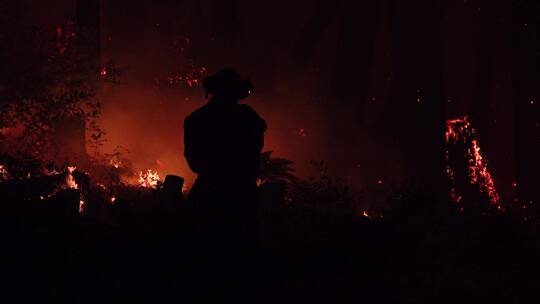 夜晚消防员在森林里灭火剪影视频素材模板下载