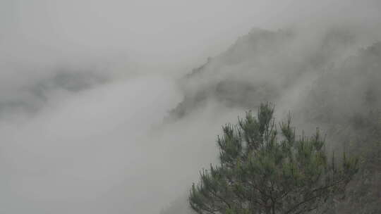 春天，信宜钱排春雨，烟雨大山乡村云雾缭绕