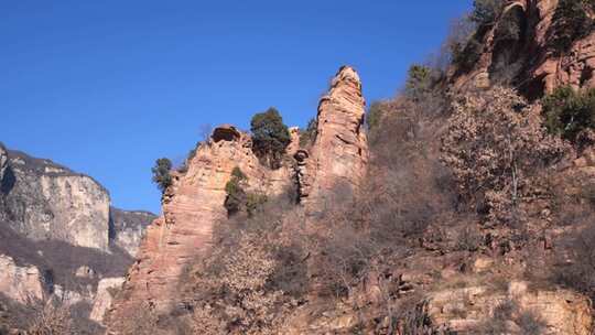 树 岩石上的树 美景 景色 石家庄 嶂石岩