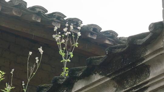 屋檐房檐下雨