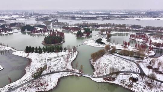 航拍湿地公园雪景树林湖岛木屋杉树木