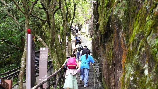 清晨爬山登山上楼梯背影脚步特写森林爬楼梯