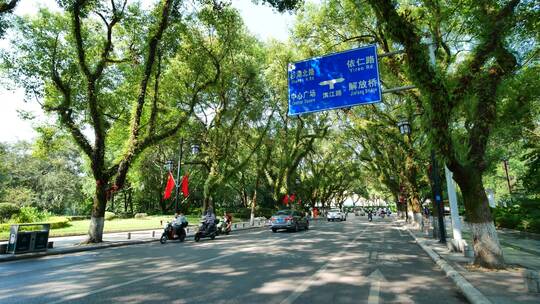 广西桂林城市道路绿树成荫的街道