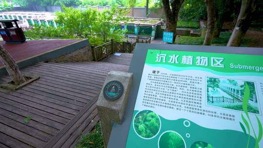 中科院武汉植物园沉水植物区4K视频合集