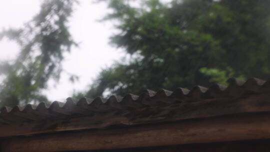 下雨的屋檐与竹林