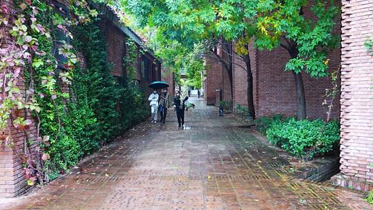 雨天街道的行人游客