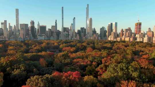 航拍纽约中央公园森林曼哈顿摩天大楼天际线