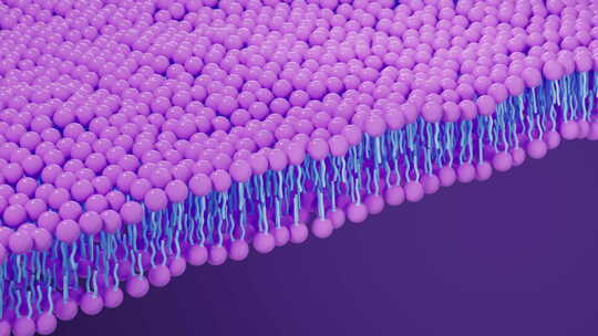 细胞膜结构背景，3d渲染。