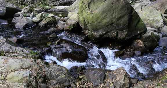 森林山涧山泉水溪流 浙东小九寨