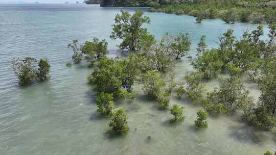 泰国甲米红树林自然风光航拍视频素材模板下载