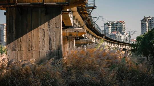 铁路公路桥梁深秋芦苇池塘荒草枯枝黄叶合集视频素材模板下载