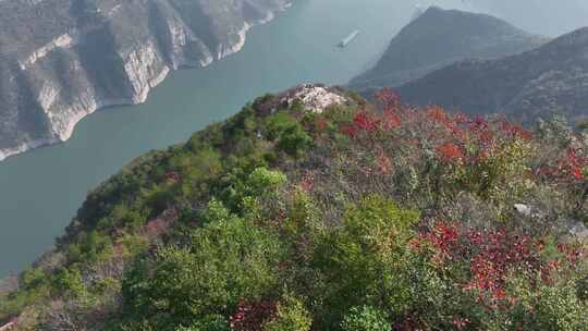 三峡红叶