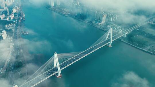 航拍海口世纪大桥穿云云海视频素材模板下载