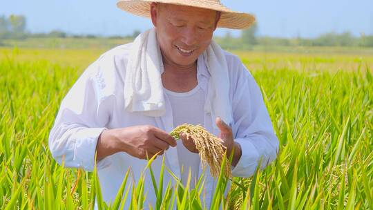 五谷杂粮合集