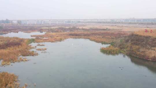 航拍 湿地 鸟 自然保护区 湿地保护区