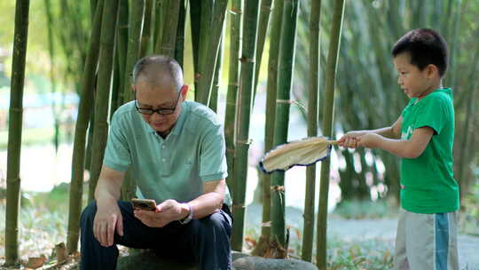 炎热夏天竹林里乘凉  孙子给爷爷摇扇子