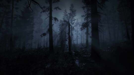 森林中的恐怖场景，神秘的树木，雾中的恐怖
