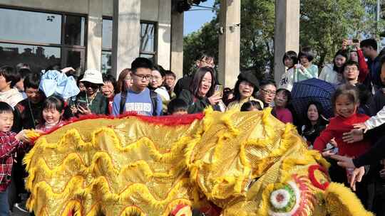 新年活动舞狮表演庆祝新年视频素材模板下载