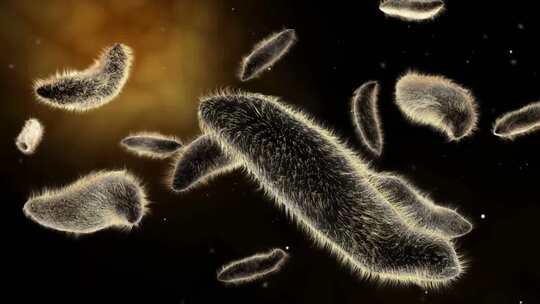 微生物细胞活动