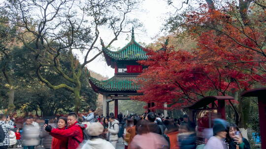 秋天的长沙岳麓山景区爱晚亭大范围延时摄影