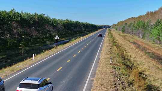 穿过树林与农田的公路航拍