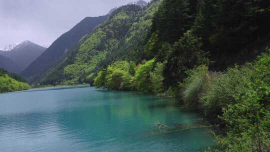 九寨沟春天的景色