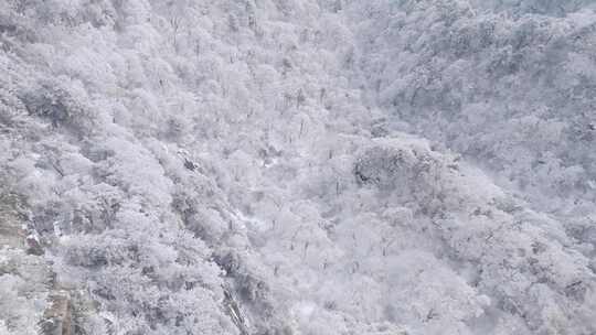 南太行伏牛山雪景雾凇云海自然风光