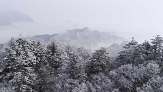 南太行伏牛山雪景雾凇云海自然风光