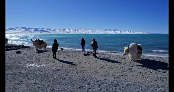 4K航拍高清西藏纳木措湖水高原雪山风景冬季