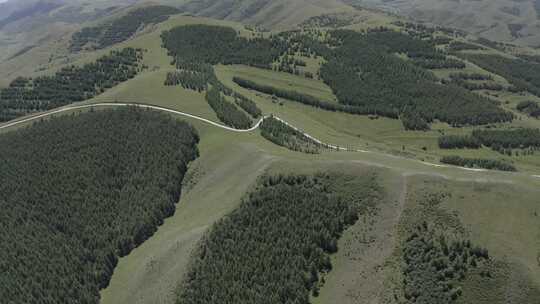 内蒙古呼和浩特新城区大青山灯炉素山顶草原