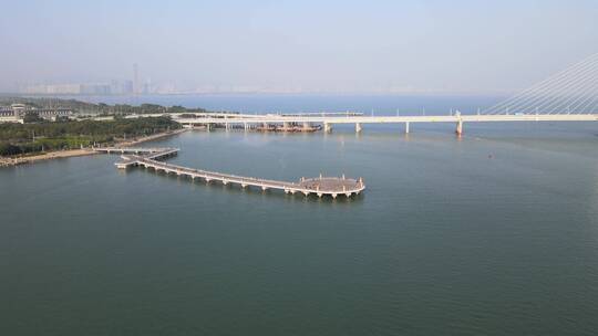 深圳湾大桥 大桥 跨境大桥