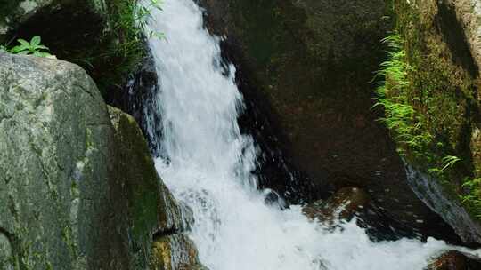 清澈纯净小溪流水泉水小河流域