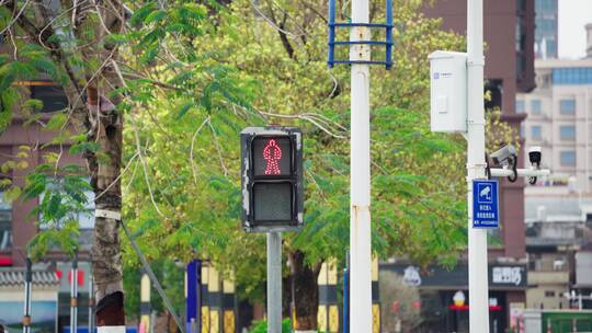 【4k】城市红绿灯倒计时车辆人行道视频素材模板下载