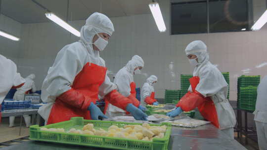 海参加工生产线工人在流水线上处理海鲜制品