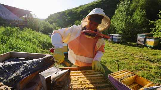 养蜂人、蜂巢、蜂巢、蜂蜜生产