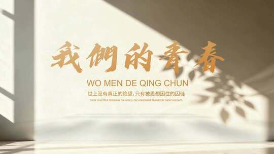 唯美简约光影文字ae模板