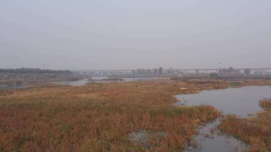 航拍 湿地 鸟 自然保护区 湿地保护区