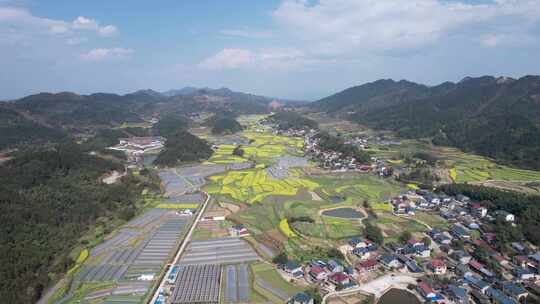 美丽乡村田园油菜花农业种植航拍