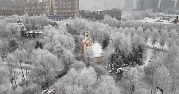 冰雪覆盖树木的冬季雪景航拍画面