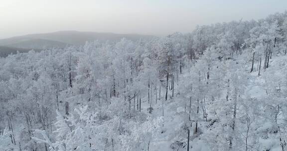 零下40度的低温航拍大兴安岭冰雪雾凇