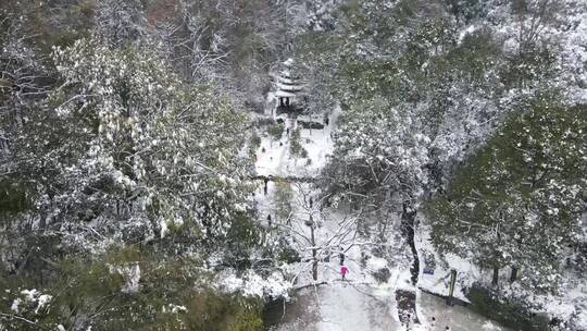 航拍南方森林冬天雪景