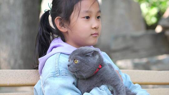 坐在公园长椅上抱着宠物猫的女孩