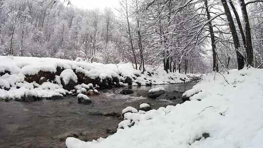 白雪覆盖的森林中的河流