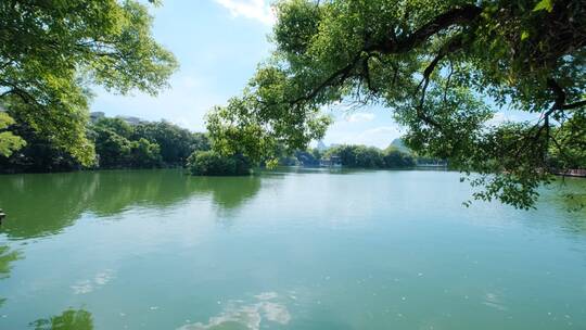 公园池塘边湖边风景 大树下 树荫下 湖水