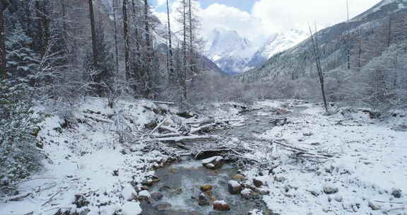 雪后山林小溪流水四姑娘山美丽自然风景