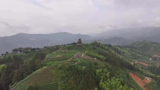 仙人山景区布央茶园航拍