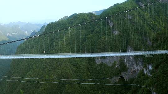 4K航拍桃溪谷景区玻璃栈道吊桥悬索桥视频素材模板下载