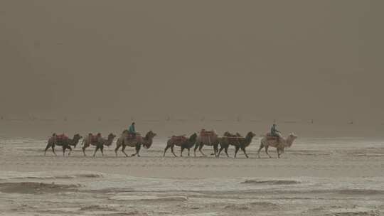 沙漠中骑着骆驼前行的人视频素材模板下载
