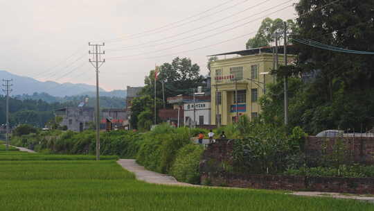 自然农村乡间田地