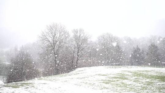 公园雪景